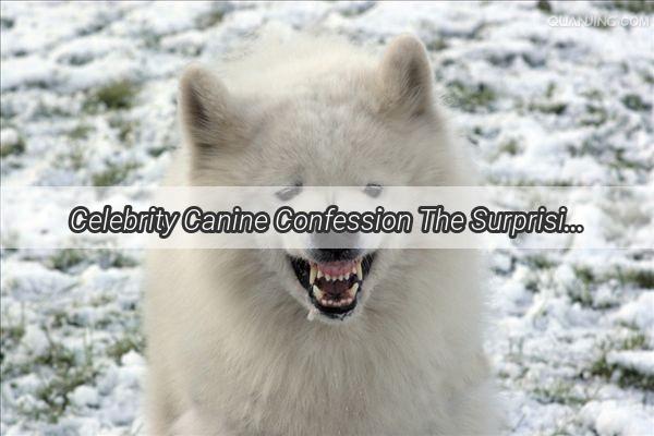 Celebrity Canine Confession The Surprising Breed of Zhao BenShans Furry Companions